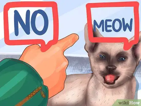 Imagen titulada Care for a Siamese Cat Step 8