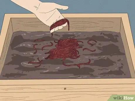Imagen titulada Prepare Vermicompost Step 12
