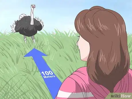 Imagen titulada Survive an Encounter with an Ostrich Step 12