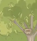hacer un nido para pájaros