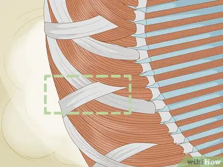 Imagen titulada Rewind an Electric Motor Step 11