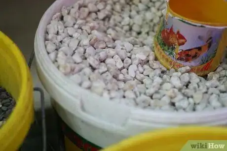 Imagen titulada Prepare Fish Tank Gravel Intro