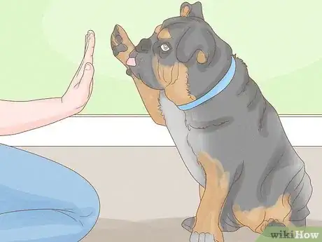 Imagen titulada Stop a Dog from Humping Step 13