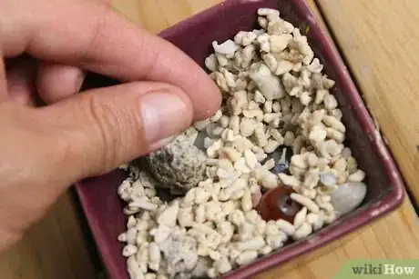 Imagen titulada Prepare Fish Tank Gravel Step 4