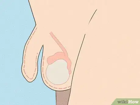 Imagen titulada Tell if You Have Hit Puberty (Boys) Step 1