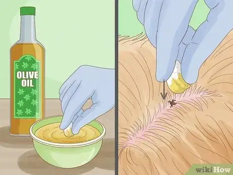 Imagen titulada Remove a Tick from a Dog Without Tweezers Step 5