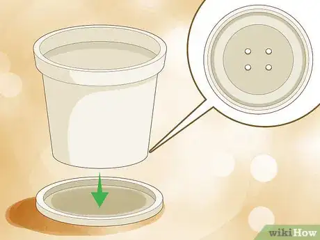 Imagen titulada Save an Overwatered Plant Step 13