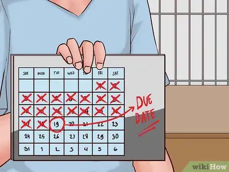 Imagen titulada Care for a Pregnant Guinea Pig Step 24