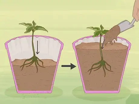Imagen titulada Make Pot Liners for Plants Step 6