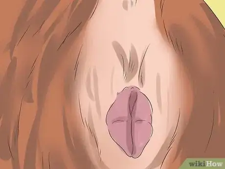 Imagen titulada Breed Dachshunds Step 13