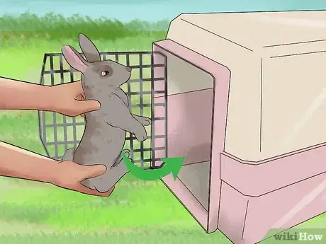 Imagen titulada Catch a Pet Rabbit Step 18