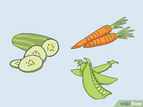Imagen titulada Entertain Your Guinea Pig Step 15