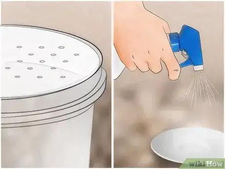 Imagen titulada Care for Live Crickets for Reptiles Step 17