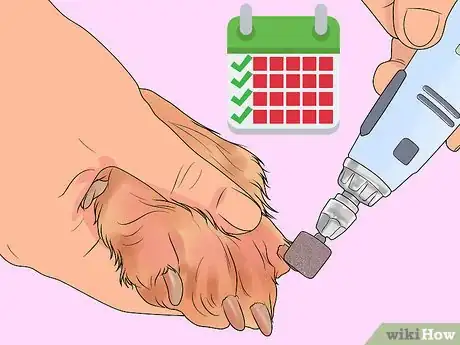 Imagen titulada File a Dog's Nails Step 10