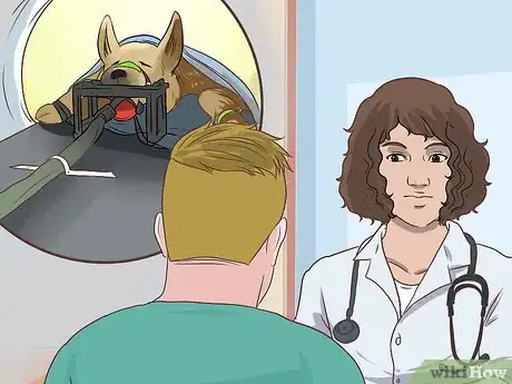 Imagen titulada Treat a Dog with Cushing's Disease Step 14