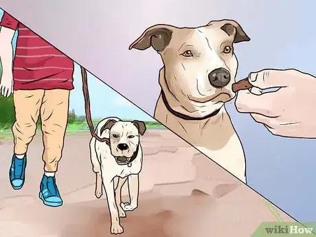 Imagen titulada Stop Your Dog from Barking at Strangers Step 9