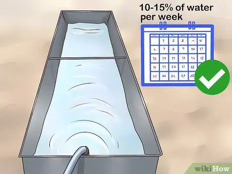 Imagen titulada Create Lobster Farms Step 7