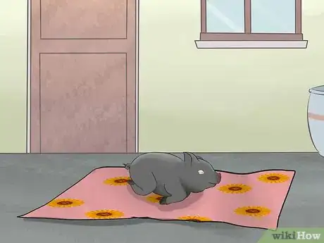 Imagen titulada House Train a Pig Step 6