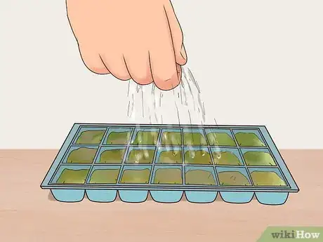 Imagen titulada Grow Flowers from Seed Step 4