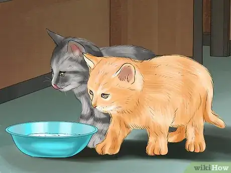Imagen titulada Introduce Solid Food to Kittens Step 3