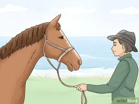 Imagen titulada Tell if a Horse Is Frightened Step 9