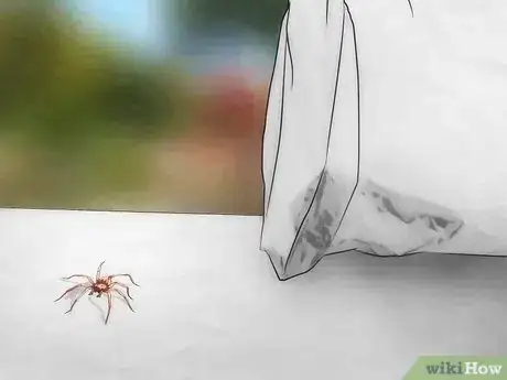 Imagen titulada Get Spiders Out of Your House Without Killing Them Step 19