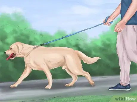 Imagen titulada Calm Down a Playful Large Dog Step 1