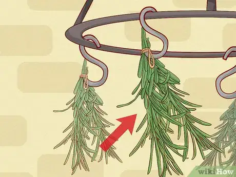 Imagen titulada Store Fresh Rosemary Step 13