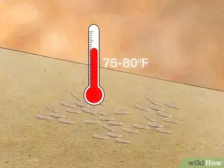Imagen titulada Care for Live Crickets for Reptiles Step 16