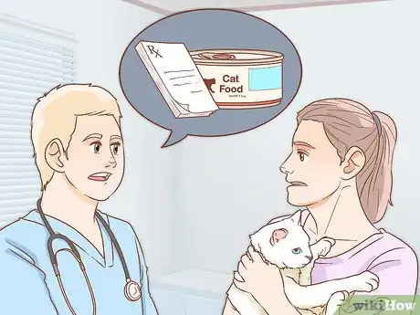 Imagen titulada Prevent Worms in Cats Step 5