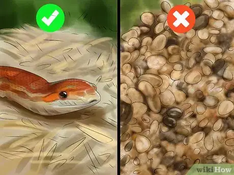 Imagen titulada Get a Pet Snake Step 8