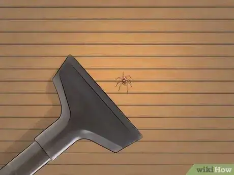Imagen titulada Get Spiders Out of Your House Without Killing Them Step 14