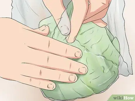Imagen titulada Plant Cabbage Step 16