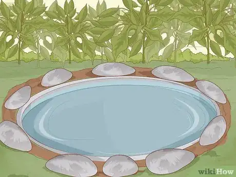 Imagen titulada Create a Habitat for a Toad Step 4
