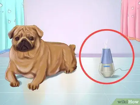 Imagen titulada Live with a Pug Dog Step 3