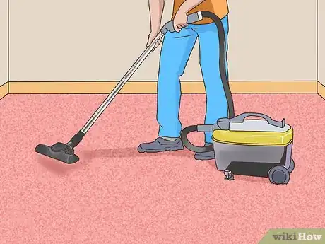 Imagen titulada Get Your House to Not Smell Like Your Pets Step 1