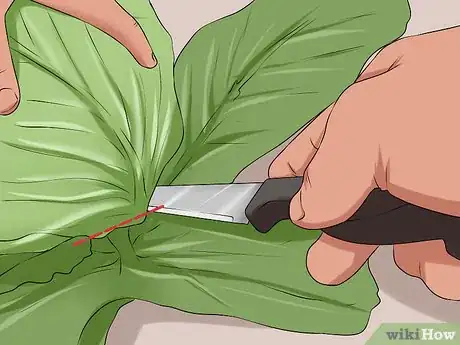 Imagen titulada Plant Cabbage Step 15