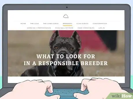 Imagen titulada Breed Cane Corso Step 1