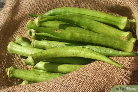 Imagen titulada Dry Okra Seeds Step 9