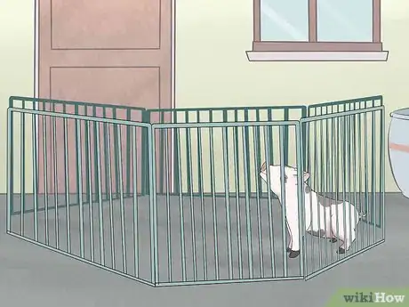 Imagen titulada House Train a Pig Step 7