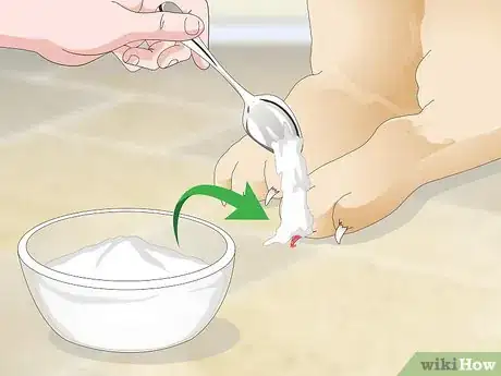 Imagen titulada Stop a Quick from Bleeding Step 6