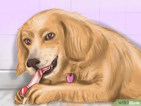 Imagen titulada Calm Down a Playful Large Dog Step 10