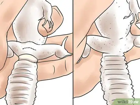 Imagen titulada Breed Leopard Geckos Step 1