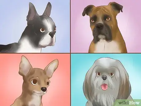 Imagen titulada Stop a Dog from Snoring Step 7