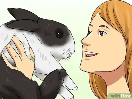 Imagen titulada Care for Dutch Rabbits Step 20