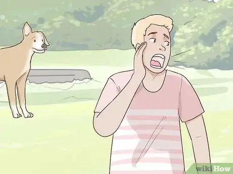 Imagen titulada Find a Lost Dog Step 5