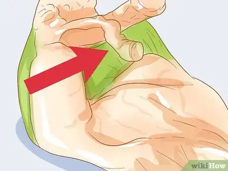Imagen titulada Tell if Your Tree Frog Is Male or Female Step 4