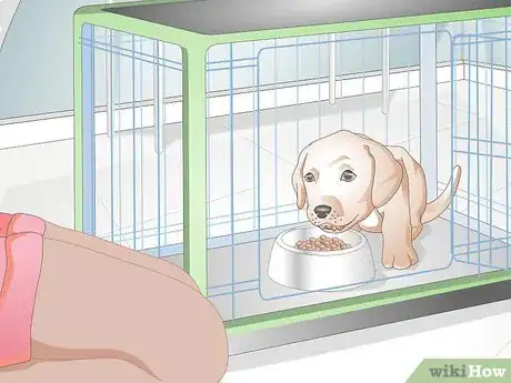 Imagen titulada Get Your Puppy To Sleep in Its Own Bed Step 3