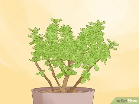 Imagen titulada Choose Plants for Good Feng Shui Step 12
