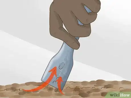 Imagen titulada Clean a Fish Tank With Sand Step 8
